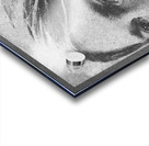 Kurt Cobain 1 Acrylic print