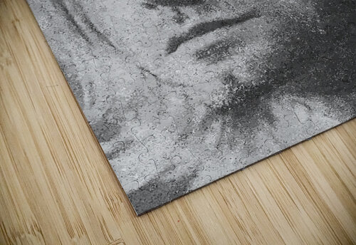 Kurt Cobain 1 llunakonfe puzzle