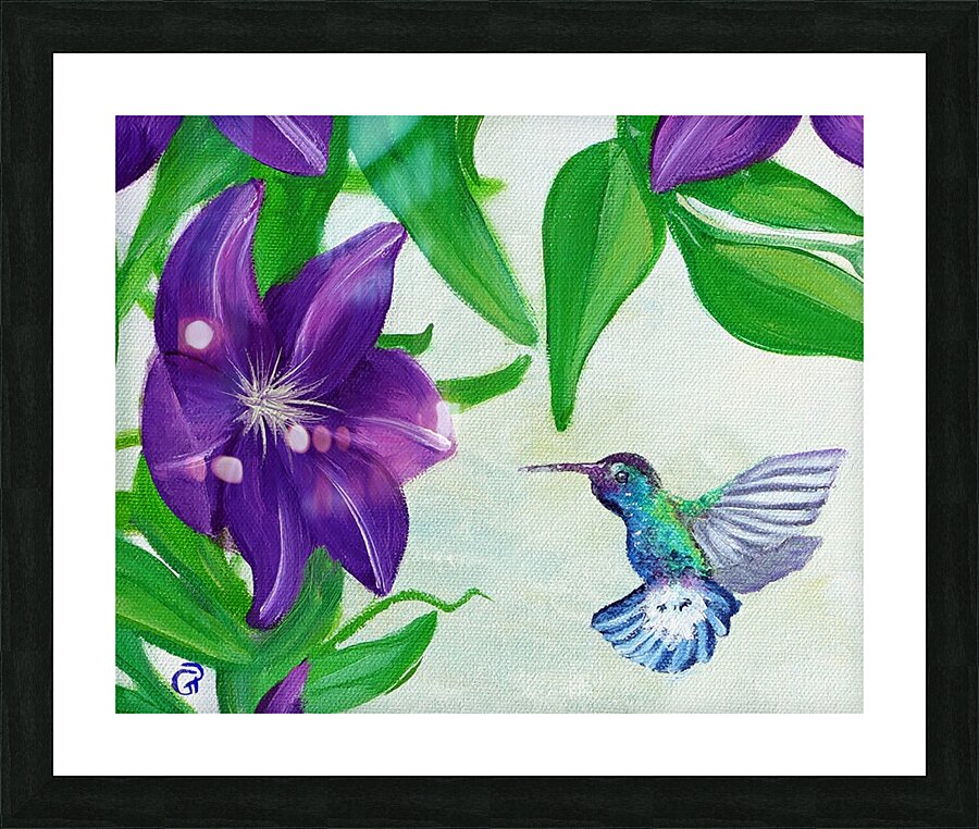 Hummingbird horizontal Picture Frame print