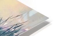 Winter Dragon HD Metal print
