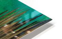 Broken Reeds HD Metal print