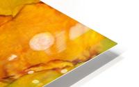 Orange HD Metal print