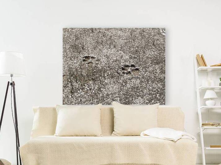 Urban ExplorationNature 35 by Jim Graham