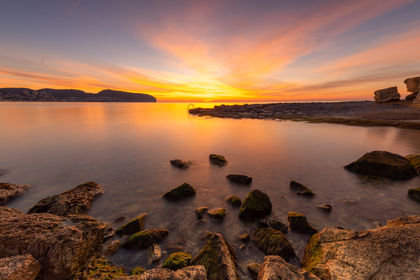 rock Digital Download