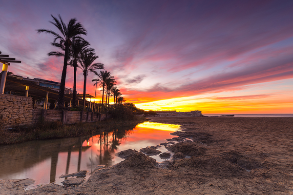 Paume Digital Download