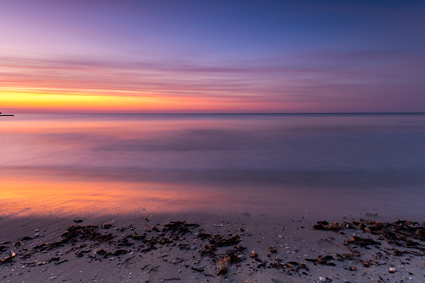 the fish boats Digital Download
