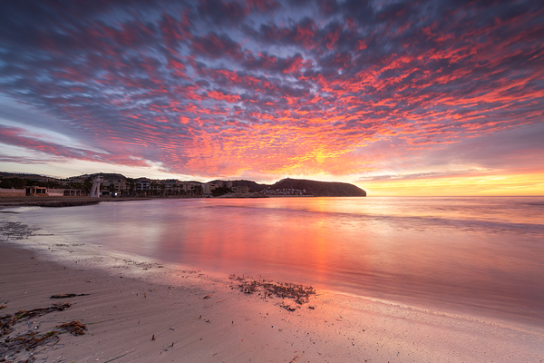 sky Digital Download