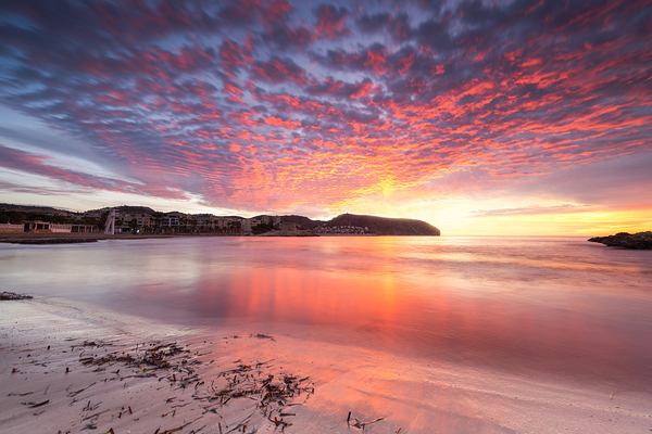 tusgal Digital Download