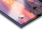 the bridge Acrylic print