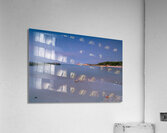 blue hour Acrylic Print