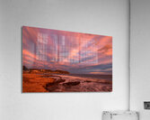 D850207 Acrylic Print
