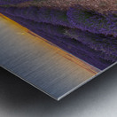 Lavender fields in Brihuega Metal print