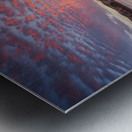 morning Metal print