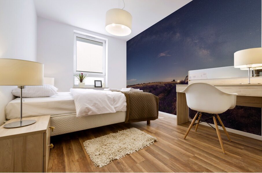 Pano 2  Mural print