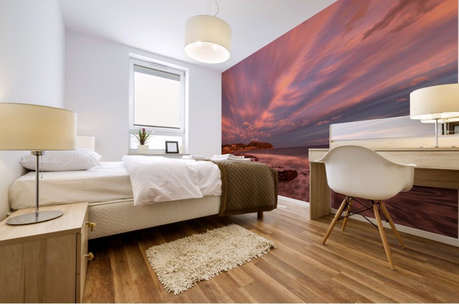 D850207 Mural print