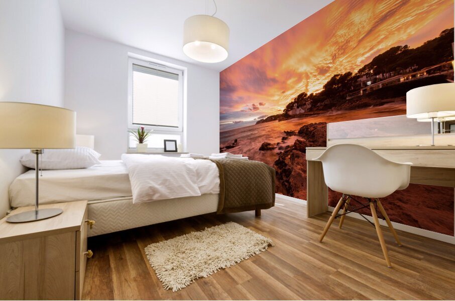 D850211 Mural print