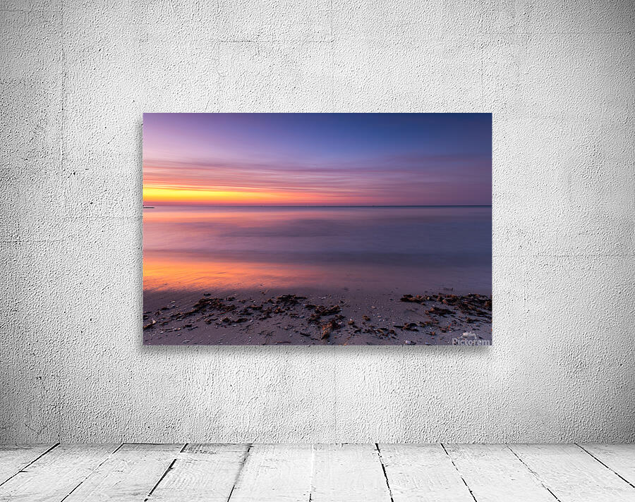 the fish boats Wall Preview