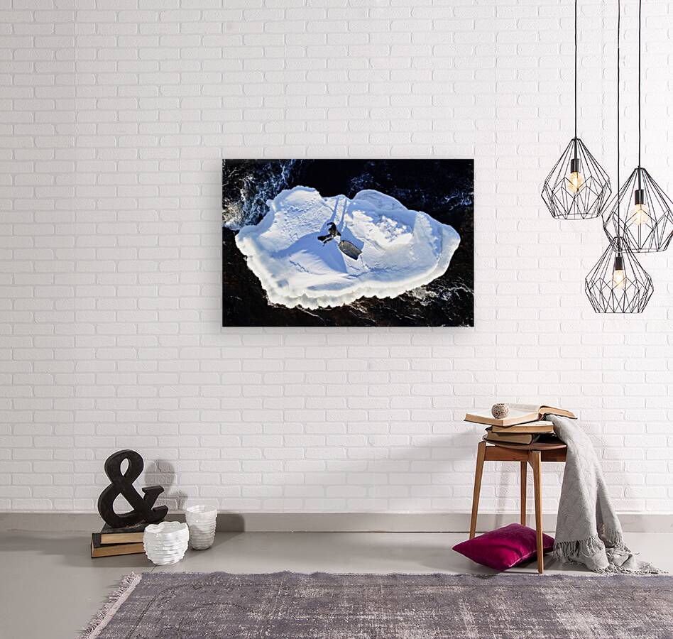 Winter surfer 1 Reproduction