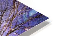 Mont Sutton 1 HD Metal print
