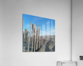 POP07113 Acrylic Print