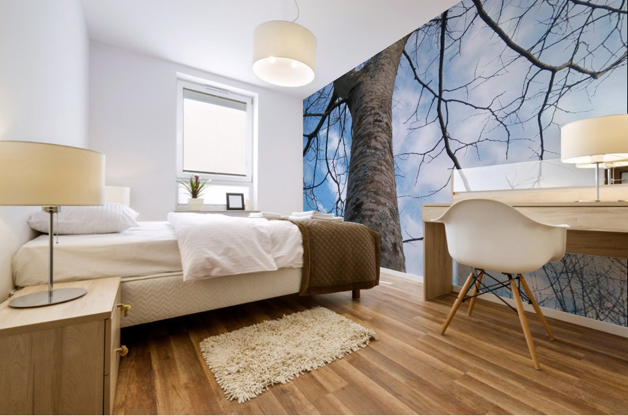 POP05158 Mural print