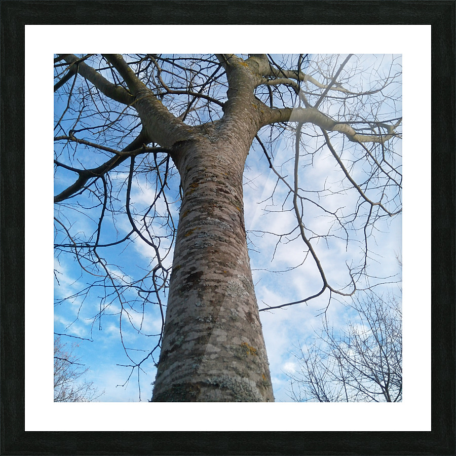 POP05158 Picture Frame print