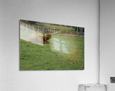  DSC5174  1 Acrylic Print