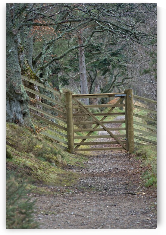 Scotland Access Code says: Use a gate where one has been provided and leave it as you find it. Do not climb over gates fences dykes or hedges unless there is no reasonable alternative nearby.   DSC5129  1 by RonM