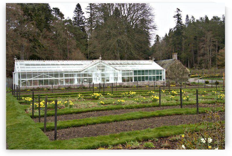 Balmoral Castle greenhouse in early spring   DSC5161  1 by RonM