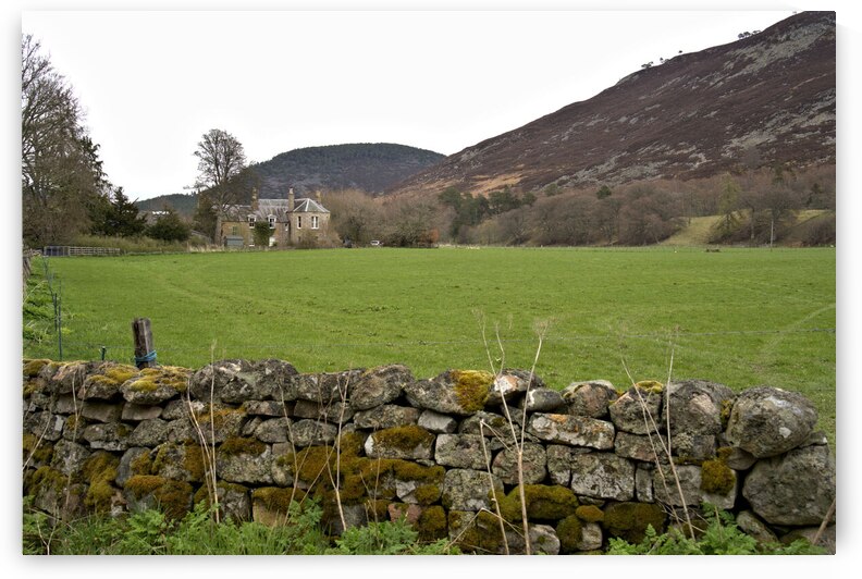 Farm home surrounded by lush green meadow and a rock fence covered with moss   DSC5167  1 by RonM