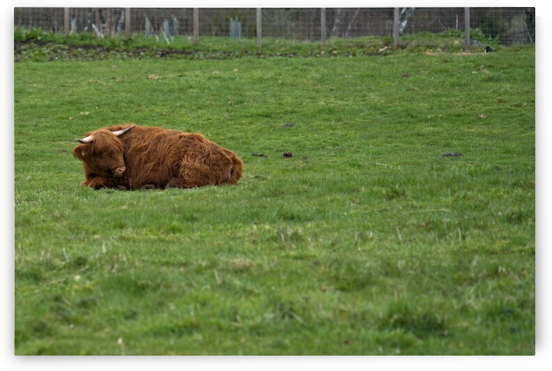  DSC5177  1 by RonM
