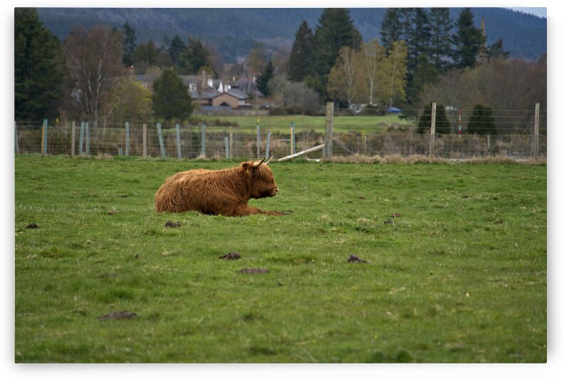  DSC5179  1 by RonM
