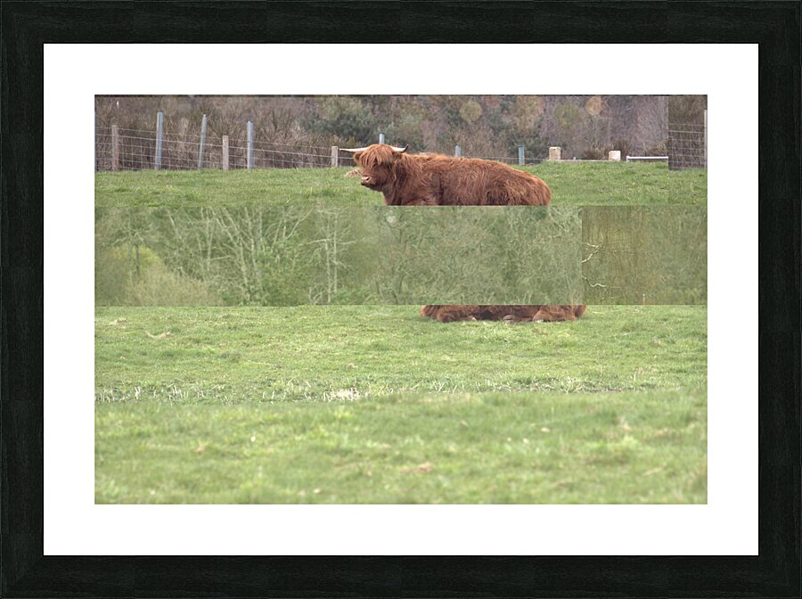  DSC5173  1 Picture Frame print