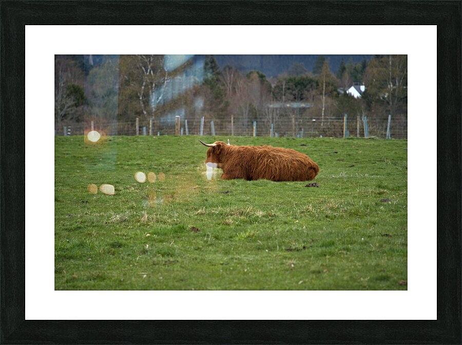  DSC5176  1 Picture Frame print