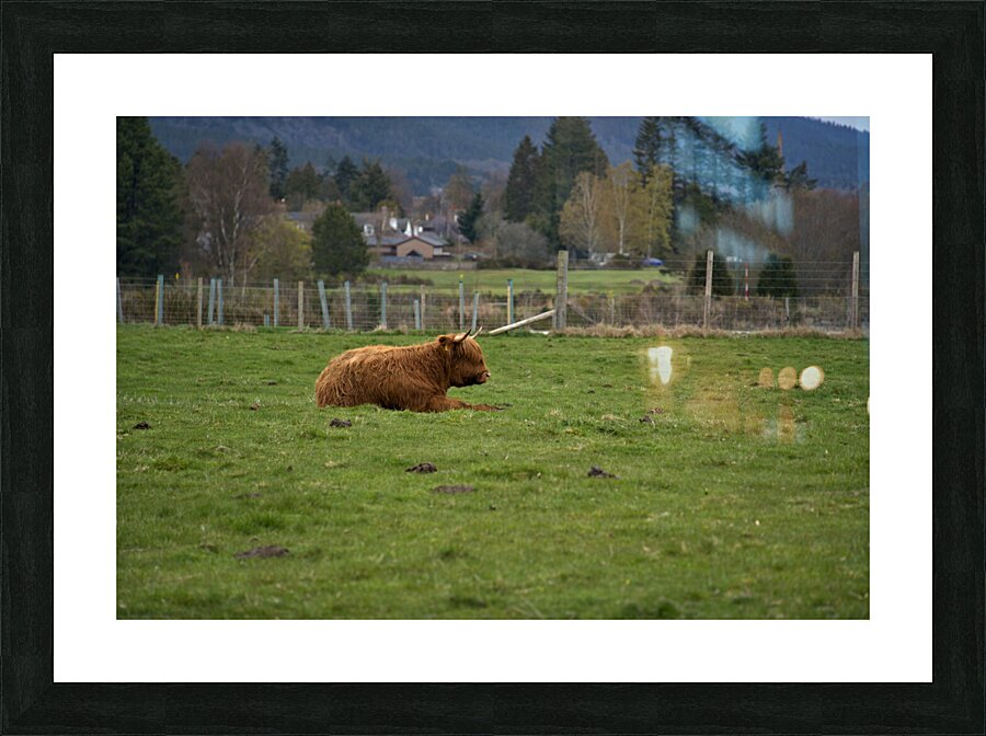  DSC5179  1 Picture Frame print