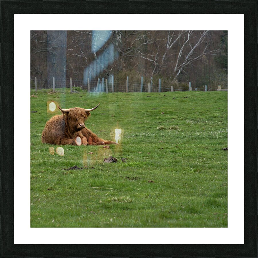  DSC5182  1 Picture Frame print