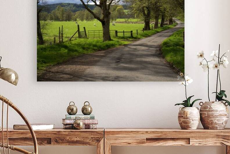 Narrow twisting country road in Scotland surrounded by sheep  DSC6310 by RonM