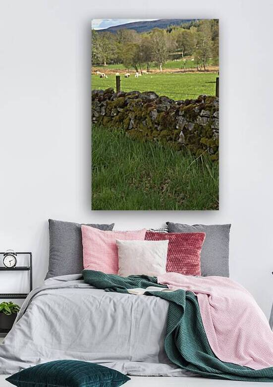  Stone Fence surrounded by the Scotland lush green landscape DSC6349  1 by RonM