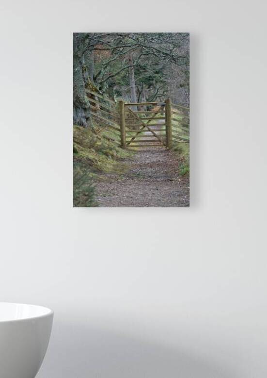 Scotland Access Code says: Use a gate where one has been provided and leave it as you find it. Do not climb over gates fences dykes or hedges unless there is no reasonable alternative nearby.   DSC5129  1 by RonM