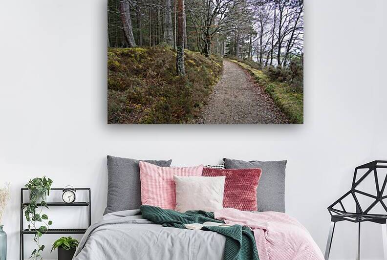  Scotland hiking trail along the forest edge with River Dee alongside  DSC5128  1 by RonM