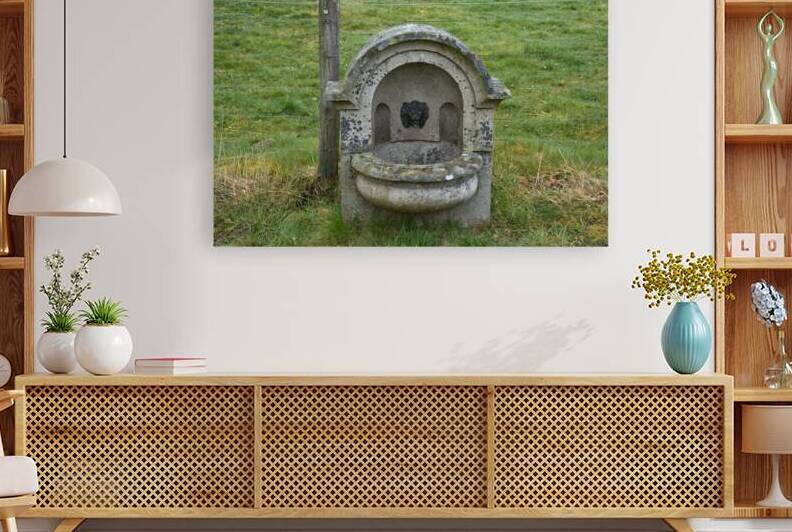 Antique Wall Fountain located in a Scotland meadow   DSC5149  1 by RonM