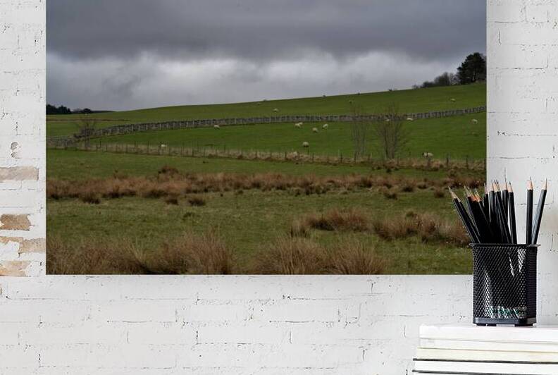 Cloudy overcast Scotland sky over a lush green Scottish meadow with sheep grazing   DSC5165  1 by RonM