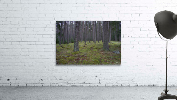  DSC5139  1 Wall Preview