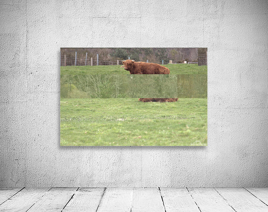  DSC5173  1 Wall Preview