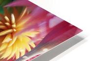 FR5 HD Metal print
