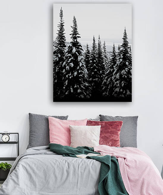 Cold View Reproduction