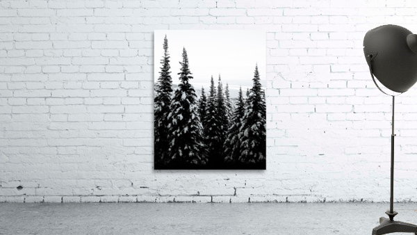 Cold View Wall Preview