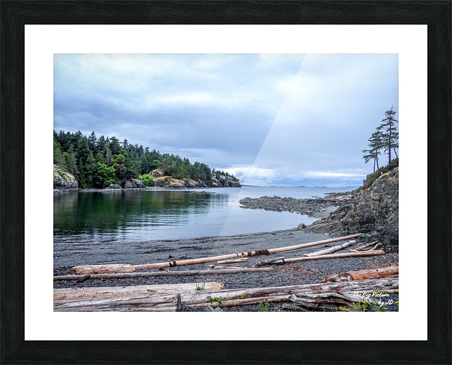 Neck Point Beach Logs Picture Frame print