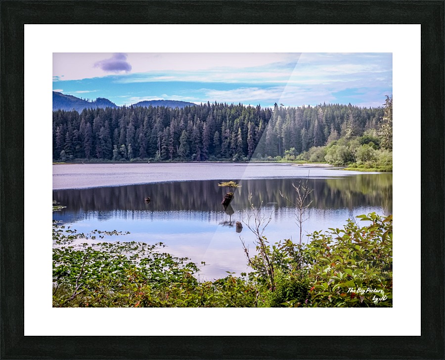Lonely Tree Picture Frame print