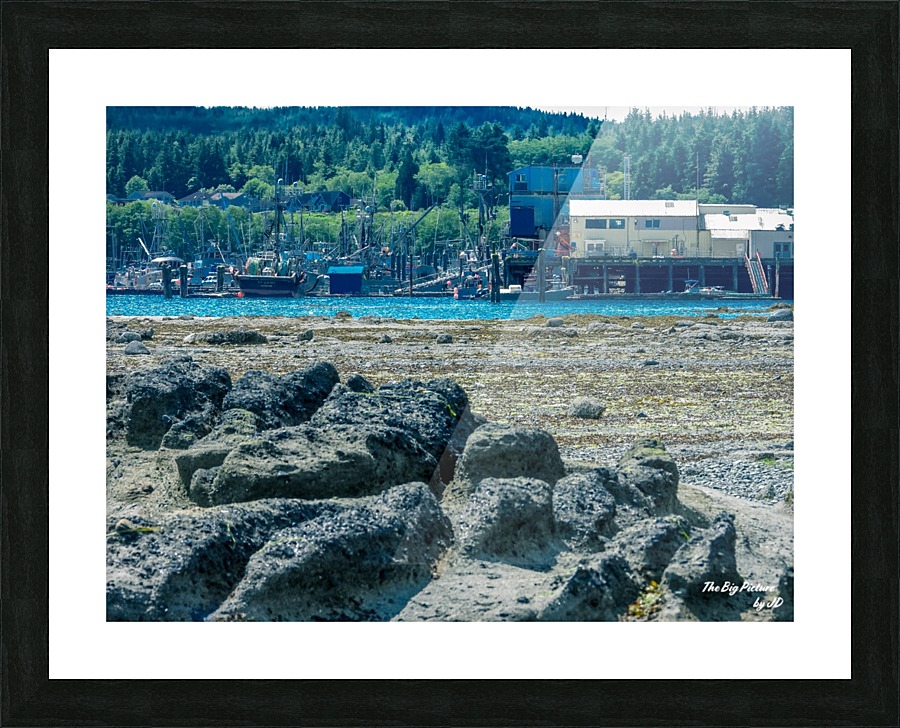Port Hardy Scene Picture Frame print